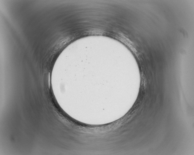 X0000115350013200912151346