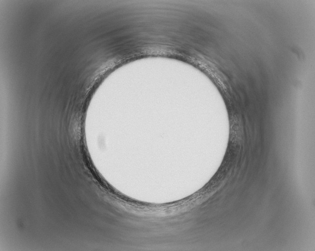 X0000115350015200912151346