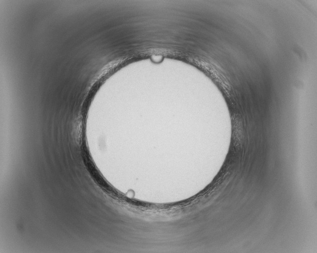 X0000115350016200912151346