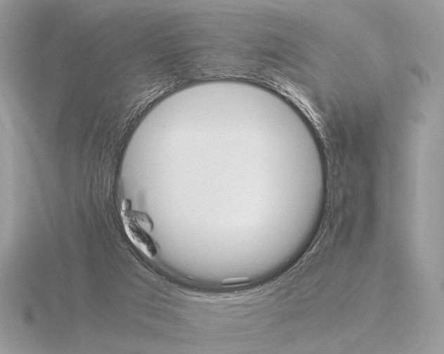 X0000115350017200912151346