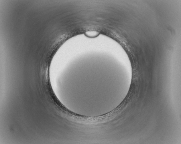 X0000115350019200912151346