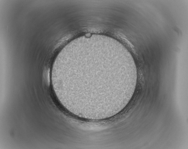 X0000115350020200912151346