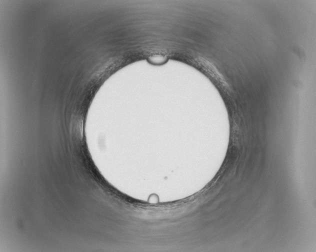 X0000115350021200912151346