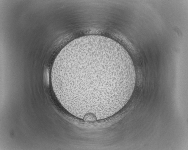 X0000115350022200912151346