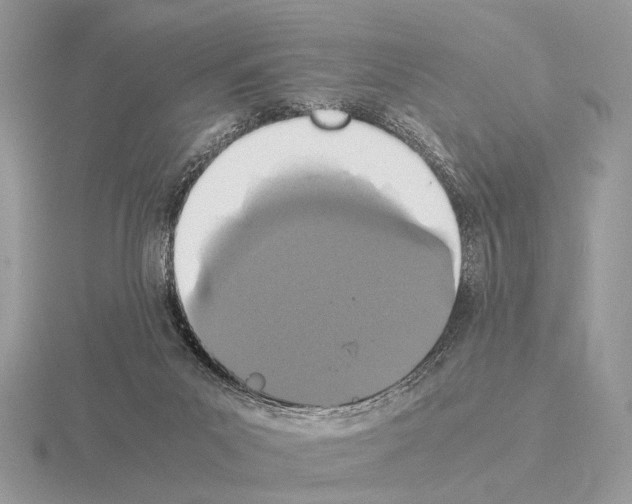 X0000115350023200912151346