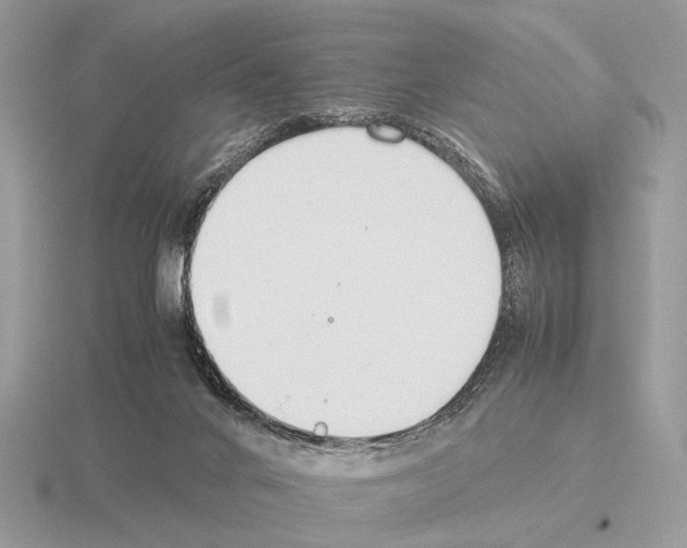 X0000115350024200912151346