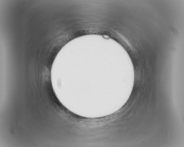 X0000115350025200912151346