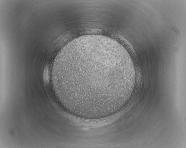 X0000115350026200912151346