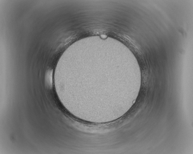 X0000115350028200912151346