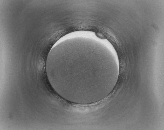 X0000115350029200912151346