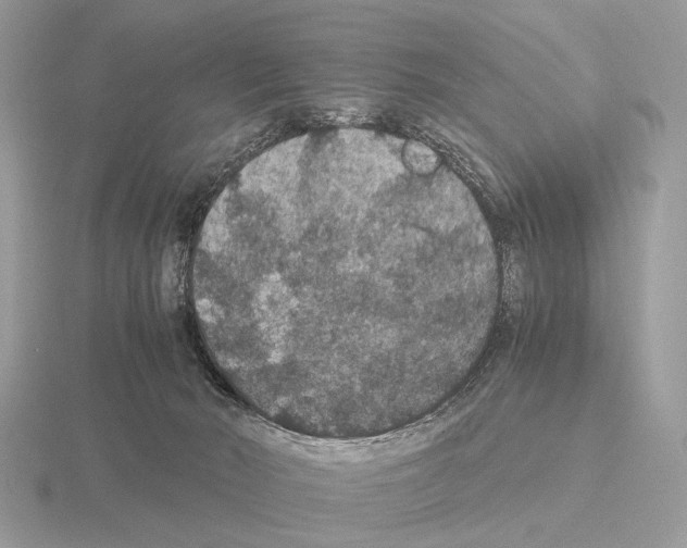 X0000115350030200912151346