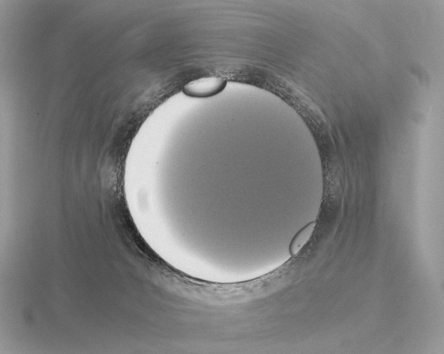 X0000115350031200912151346