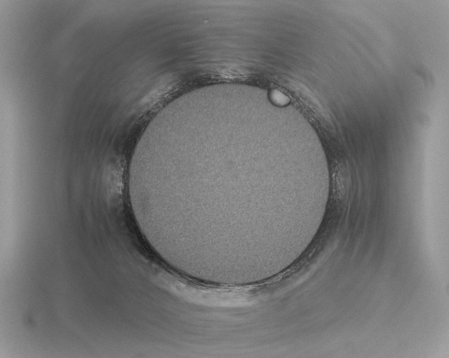 X0000115350032200912151345