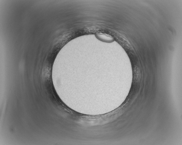 X0000115350033200912151345