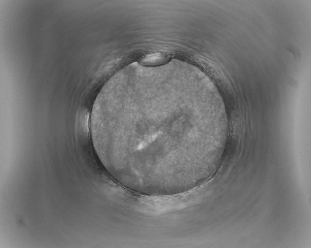 X0000115350041200912151345