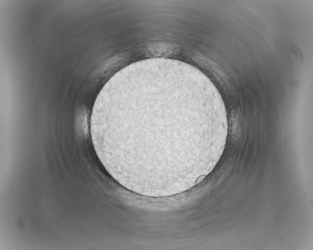 X0000115350042200912151345