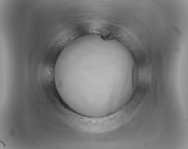 X0000115350043200912151345