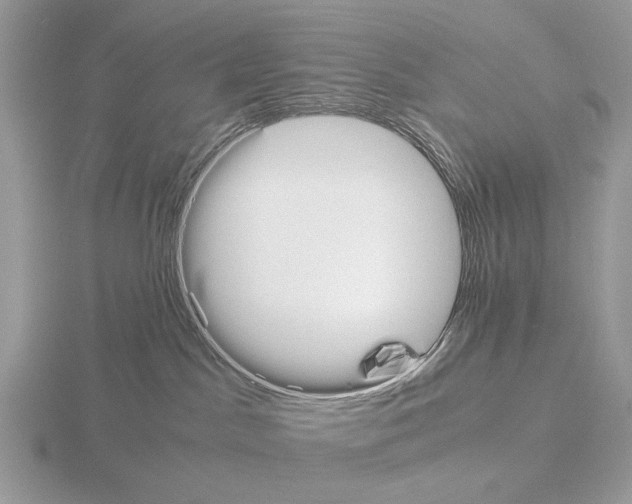 X0000115350045200912151345