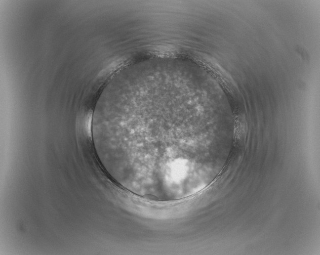 X0000115350047200912151345