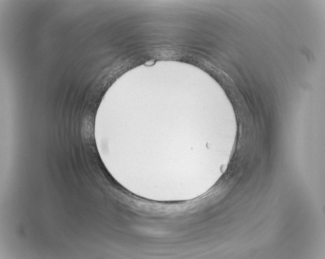 X0000115350048200912151345