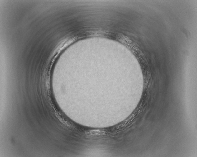 X0000115350050200912151345