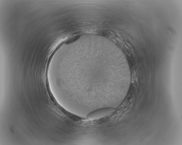 X0000115350052200912151345