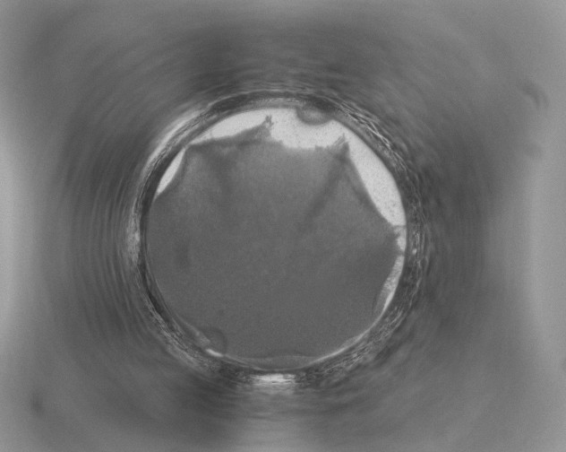 X0000115350053200912151345