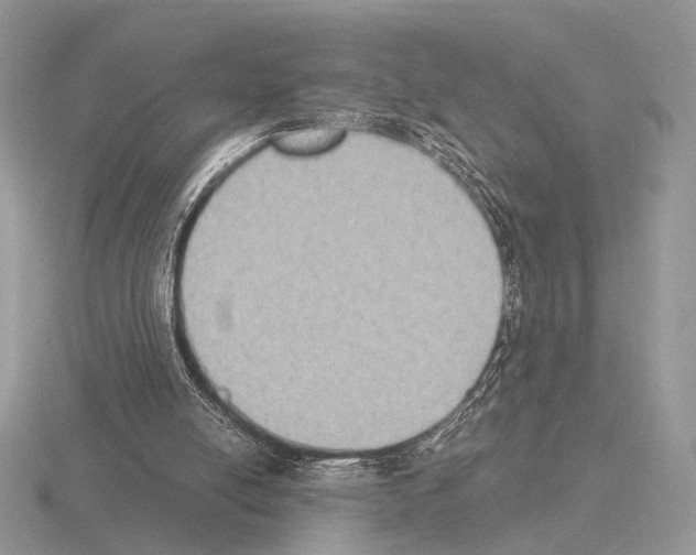 X0000115350054200912151345