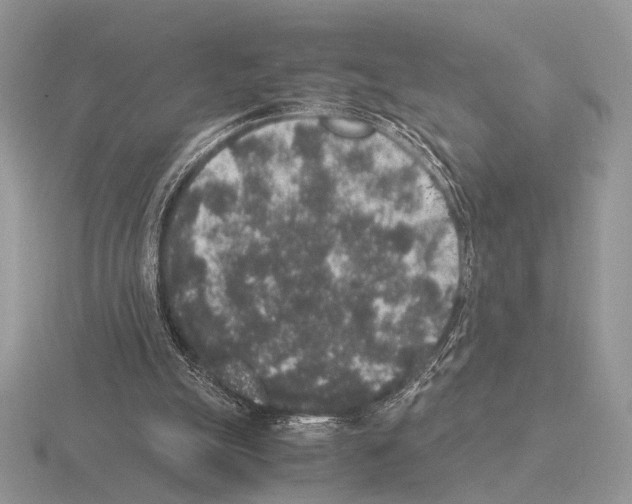 X0000115350055200912151345