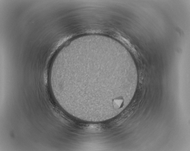 X0000115350060200912151345