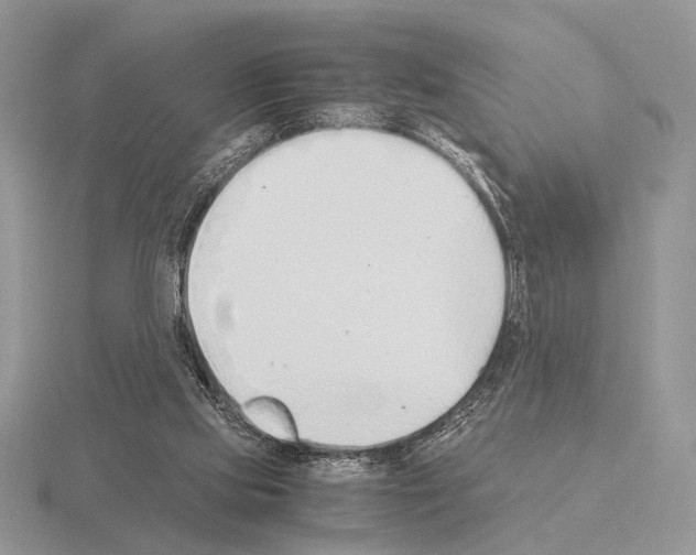 X0000115350061200912151345