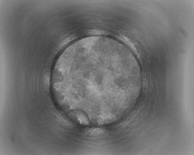 X0000115350063200912151345