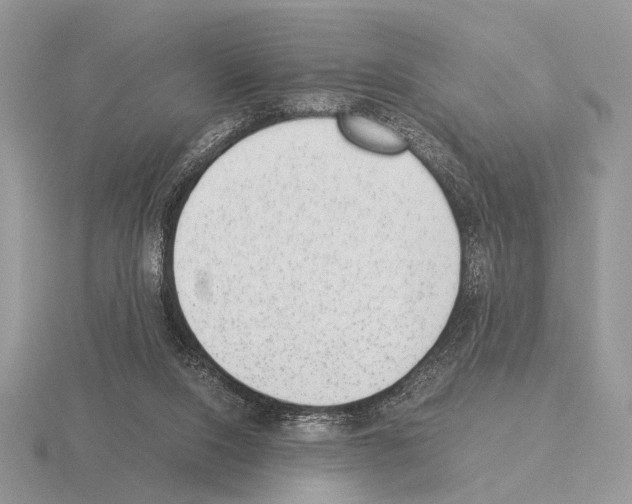 X0000115350064200912151345