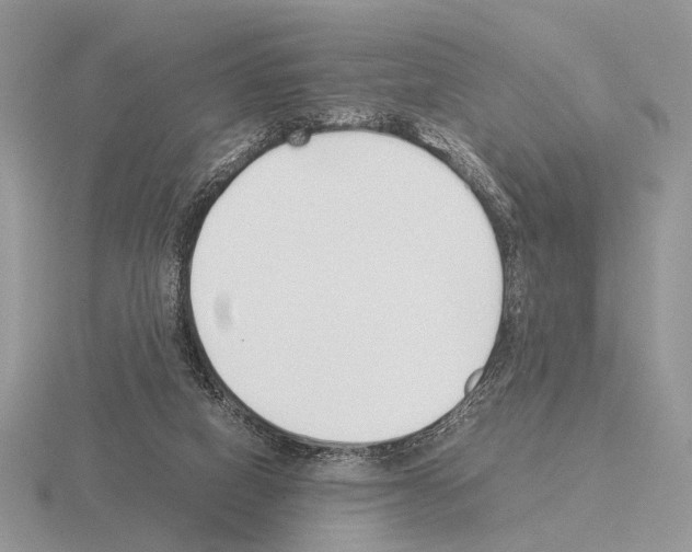 X0000115350066200912151345