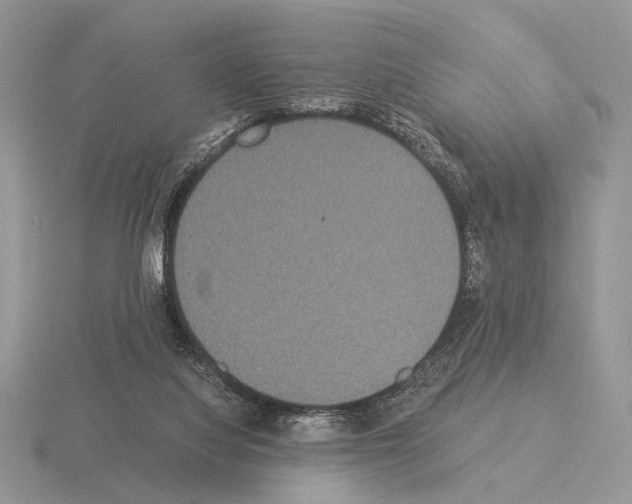 X0000115350068200912151345