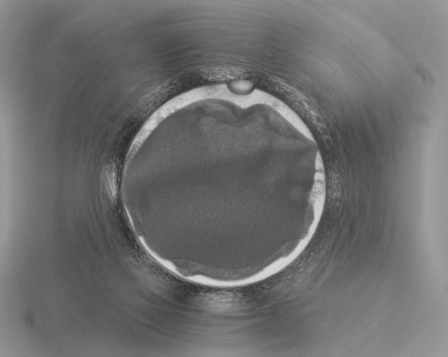 X0000115350069200912151345