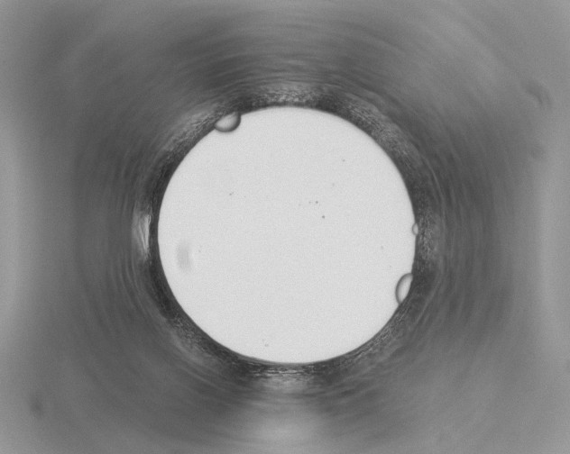 X0000115350070200912151345