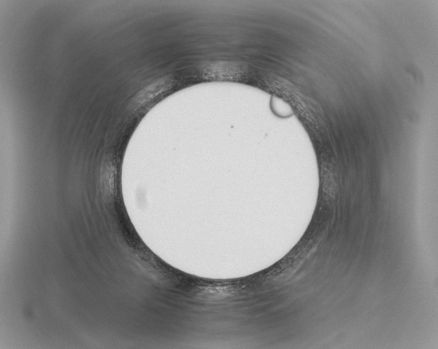 X0000115350071200912151345