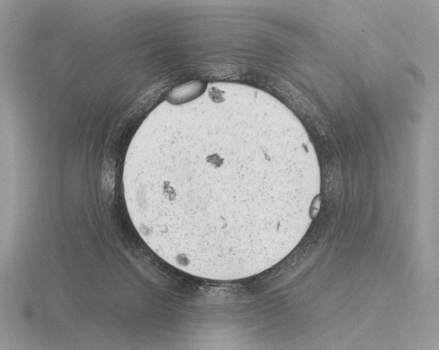 X0000115350072200912151345