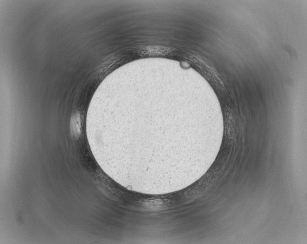 X0000115350075200912151345