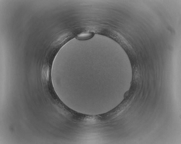 X0000115350076200912151345