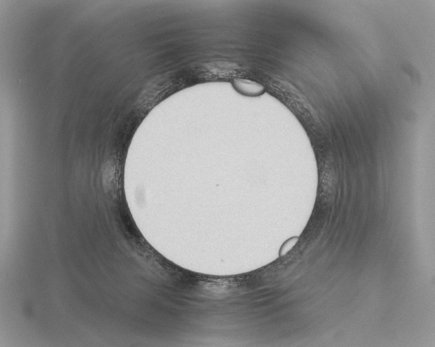 X0000115350079200912151345