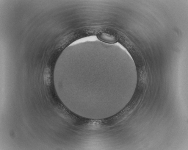 X0000115350080200912151345