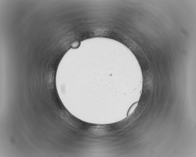 X0000115350082200912151345