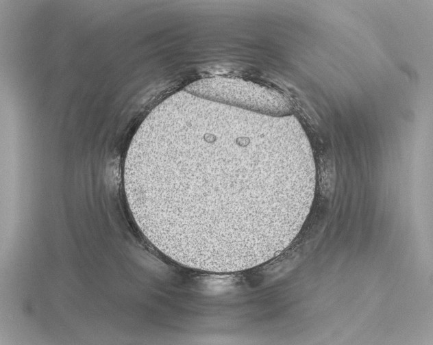 X0000115350085200912151345