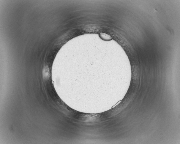 X0000115350089200912151345