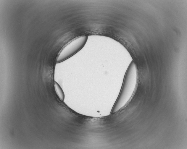 X0000115350092200912151345