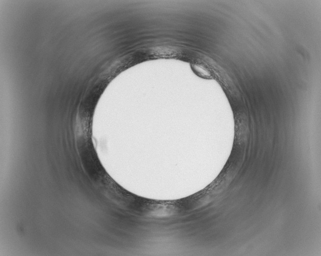 X0000115350093200912151345