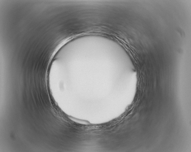 X0000115350100200912151345