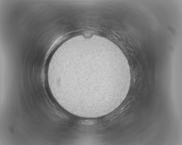 X0000115350102200912151345